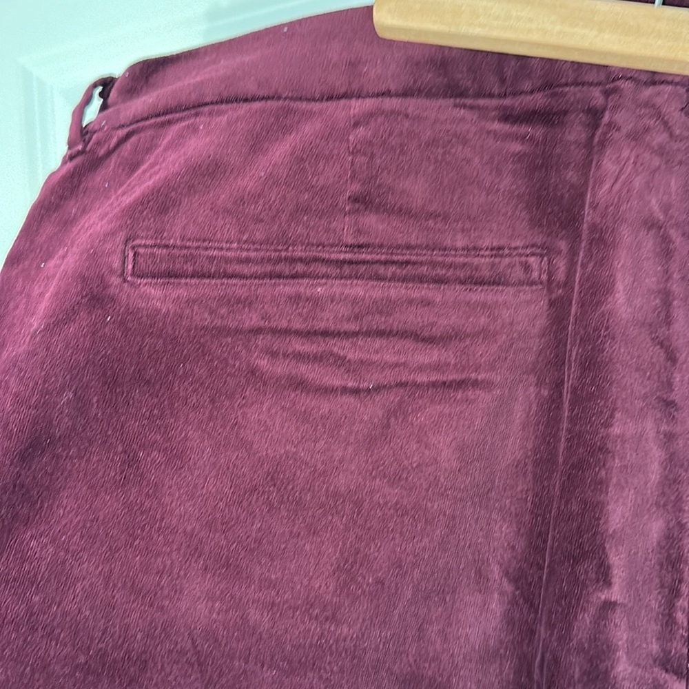 Velvet Pixie Pants - Picture 4 of 6